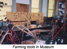 Farming tools in Museum
