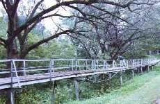 Maquon Foot Bridges